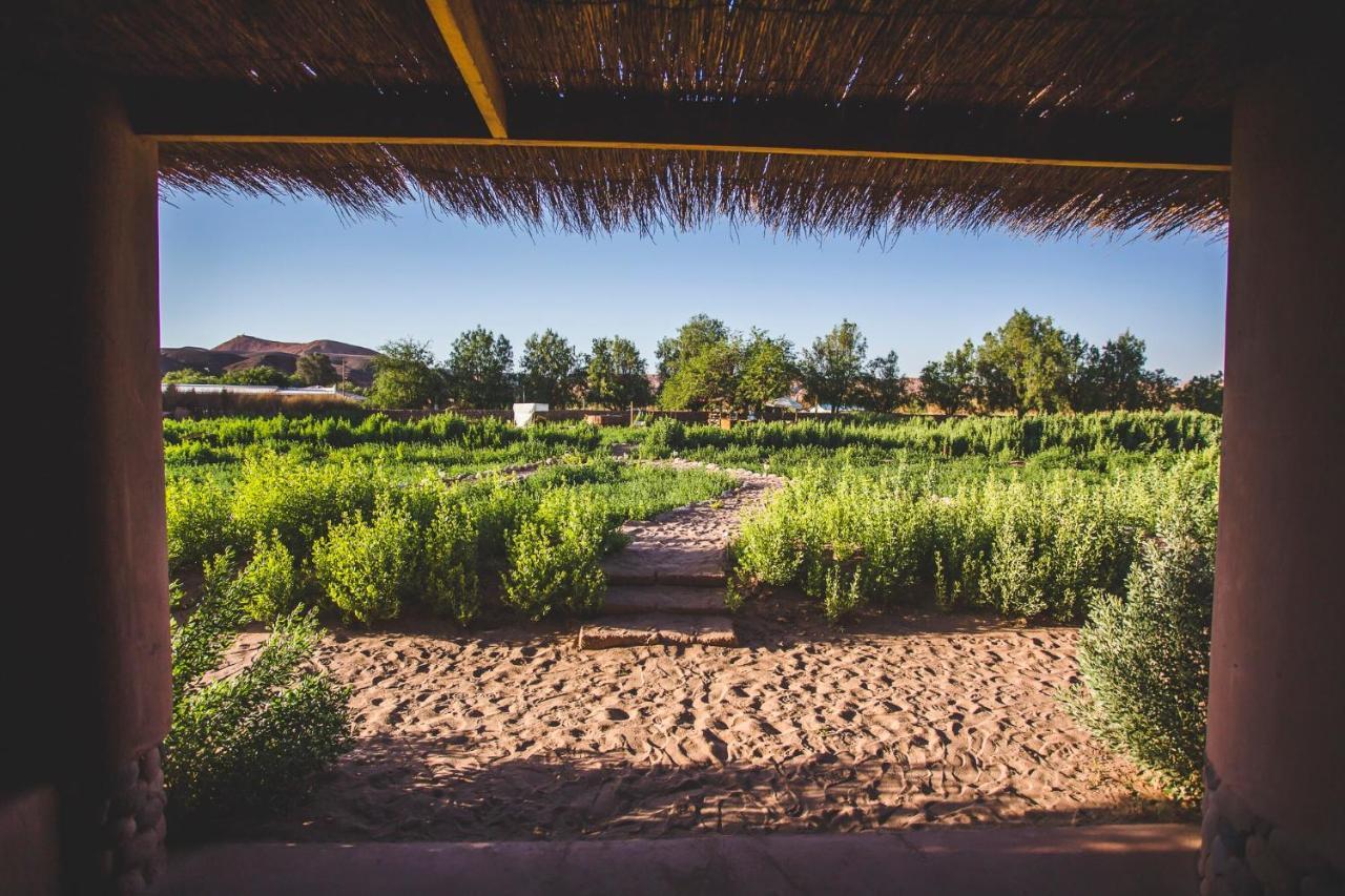 Eco-Lodge El Andinista Сан Педро де Атакама Екстериор снимка